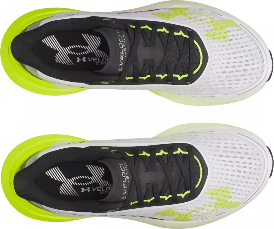 Laufschuhe Under Armour Velociti Distance