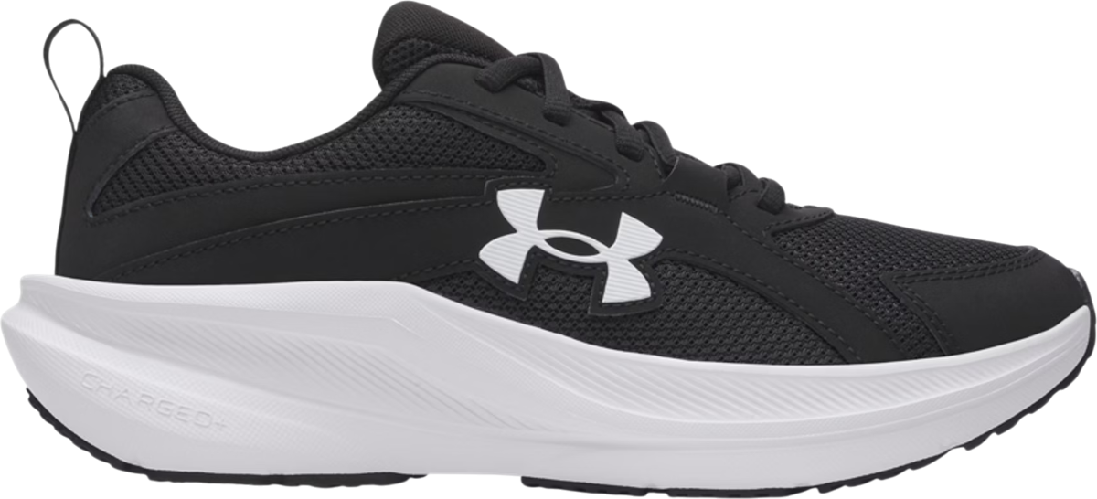 UA BGS Assert 11