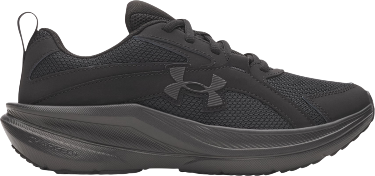 UA BGS Assert 11
