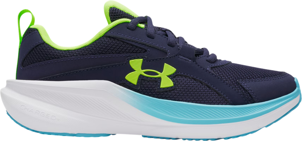 UA BGS Assert 11