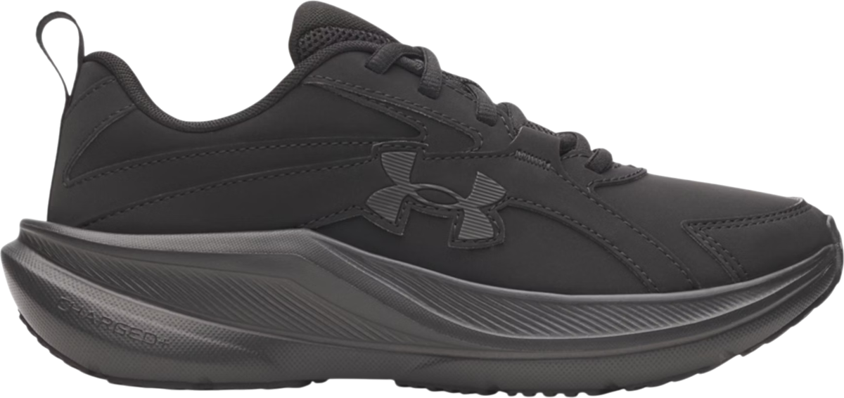 UA BGS Assert 11 UFM SYN
