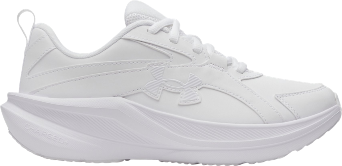 UA BGS Assert 11 UFM SYN