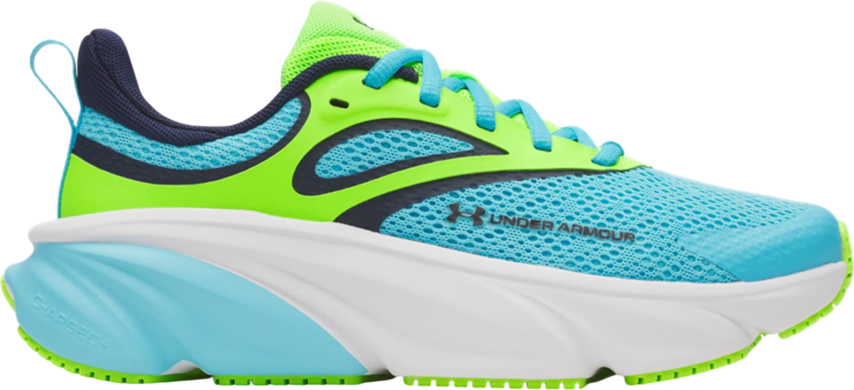 UA BGS Rogue 6