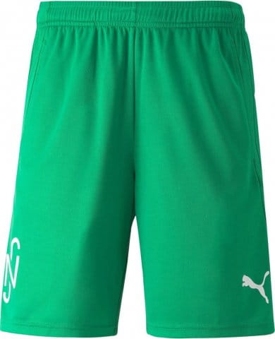 NJR Copa Short Grün F07