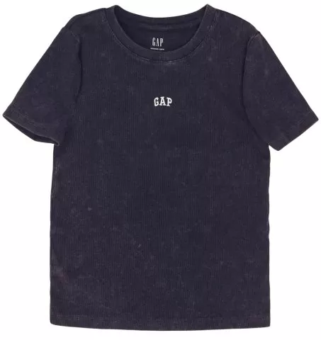 GAP Logo Abbreviated