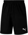 LIGA Training Shorts Core