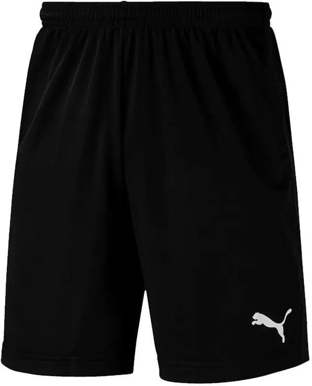 Puma LIGA Training Shorts Core Rövidnadrág