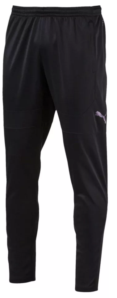 Spodnie Puma ftblNXT Pant 