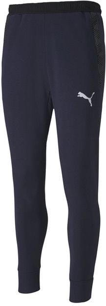 Hlače Puma teamFINAL 21 Casuals Sweat Pants