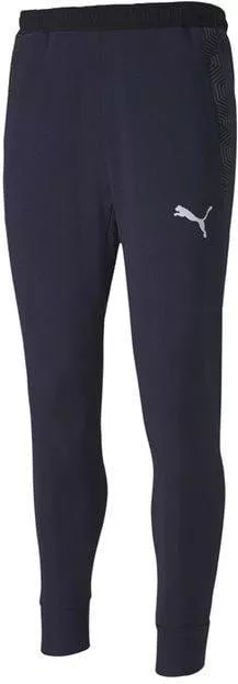Hlače Puma teamFINAL 21 Casuals Sweat Pants