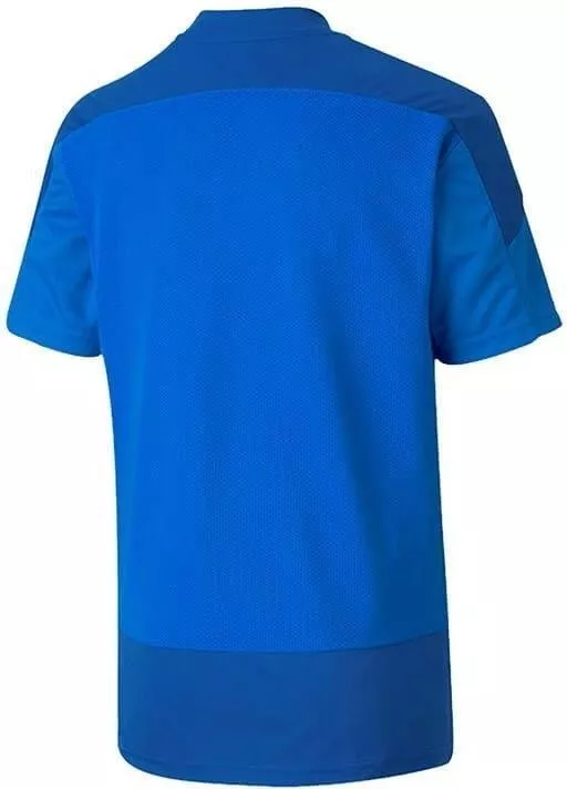 Koszulka Puma teamGOAL 23 Training Jersey Jr