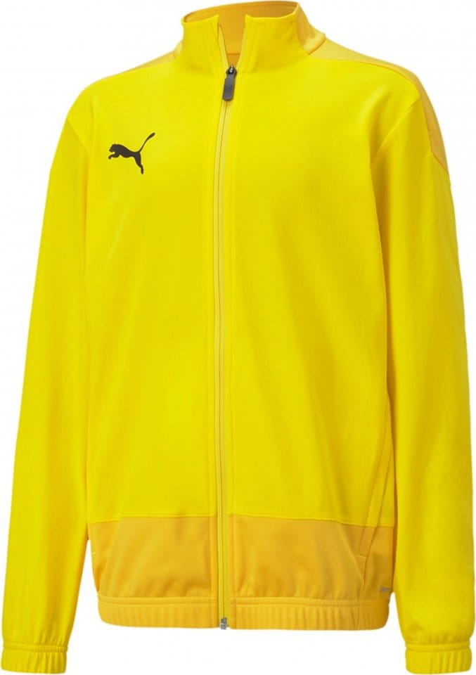 Dětská bunda Puma teamGOAL 23