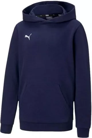 teamGOAL 23 Casuals Hoody Jr