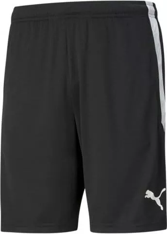 teamLIGA Training Shorts