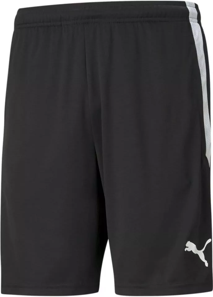 Puma teamLIGA Training Shorts Rövidnadrág