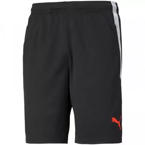 teamLIGA Training Shorts