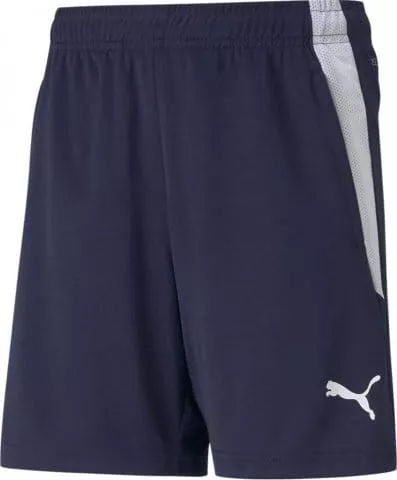 teamLIGA Training Shorts Jr