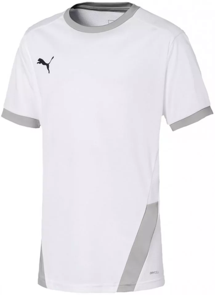 Tröja Puma teamFINAL Training Jersey