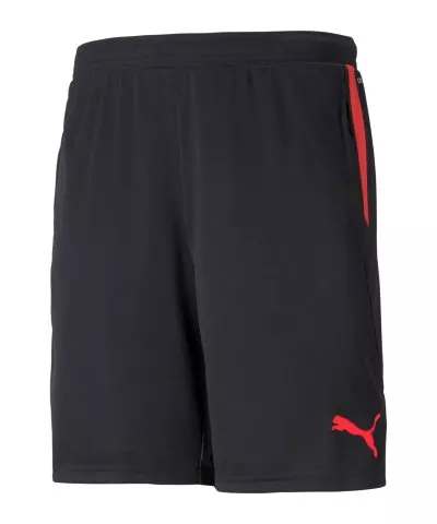 individualCUP Shorts