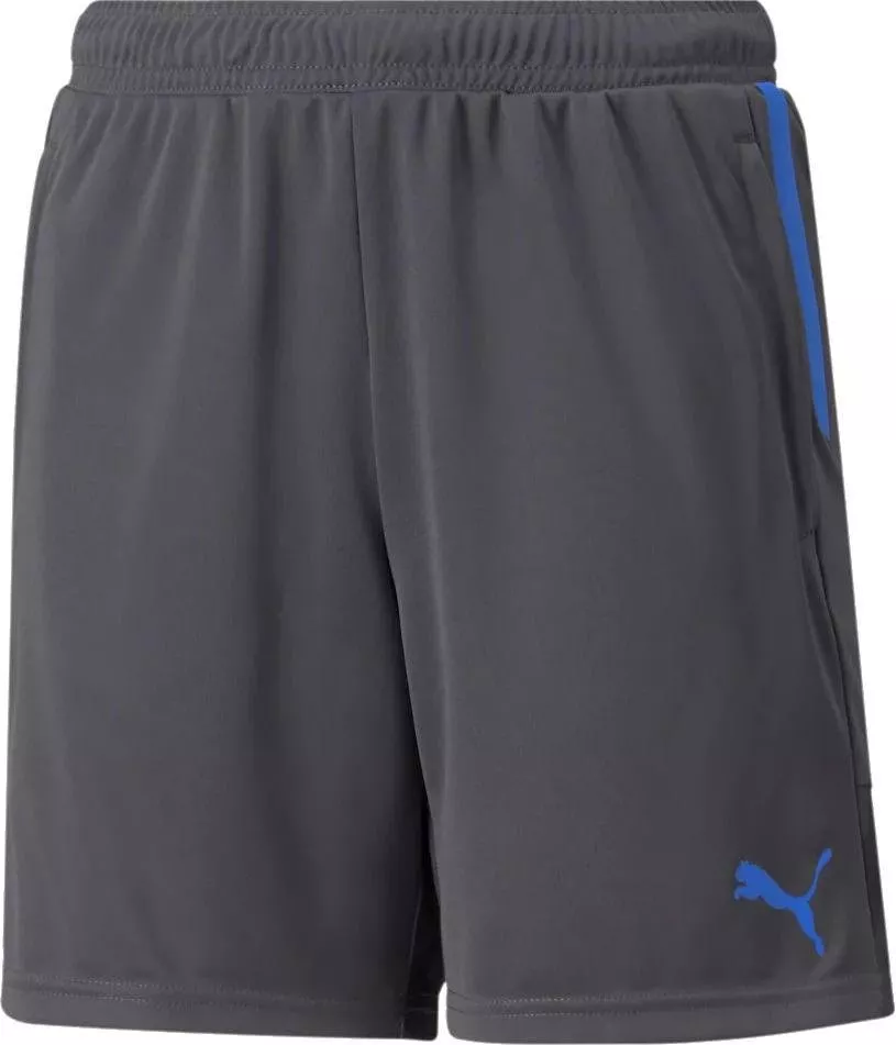 Kratke hlače Puma individualCUP Shorts Jr