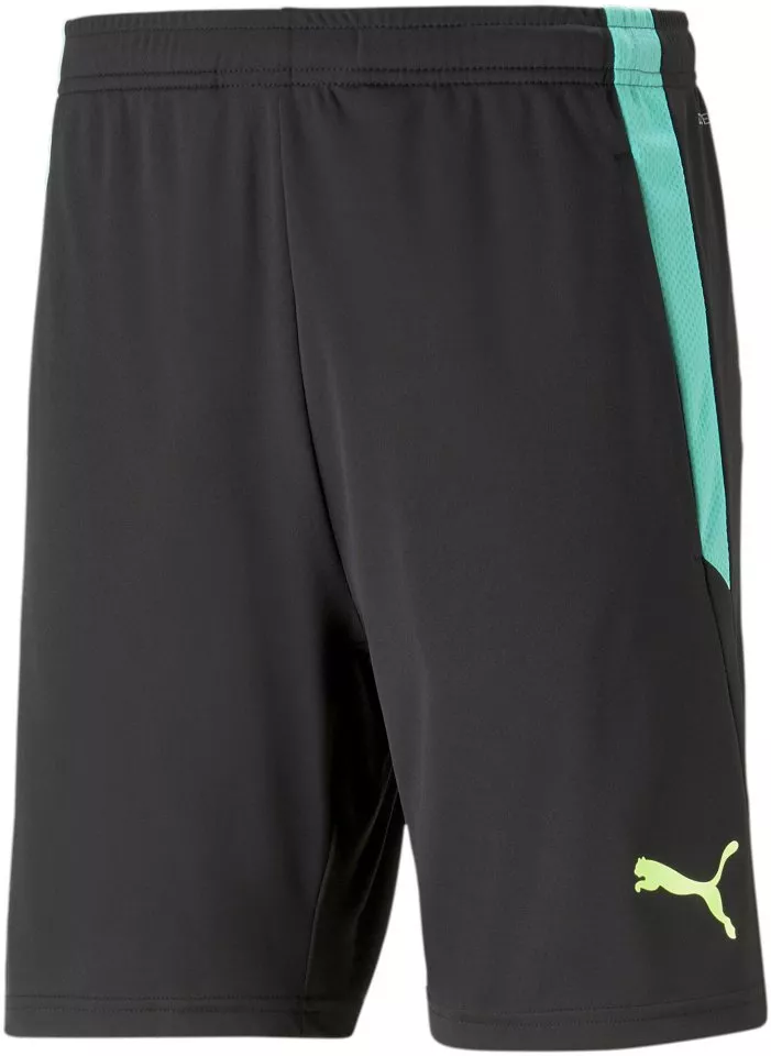 Puma teamLIGA Training Shorts 2 (open pockets)