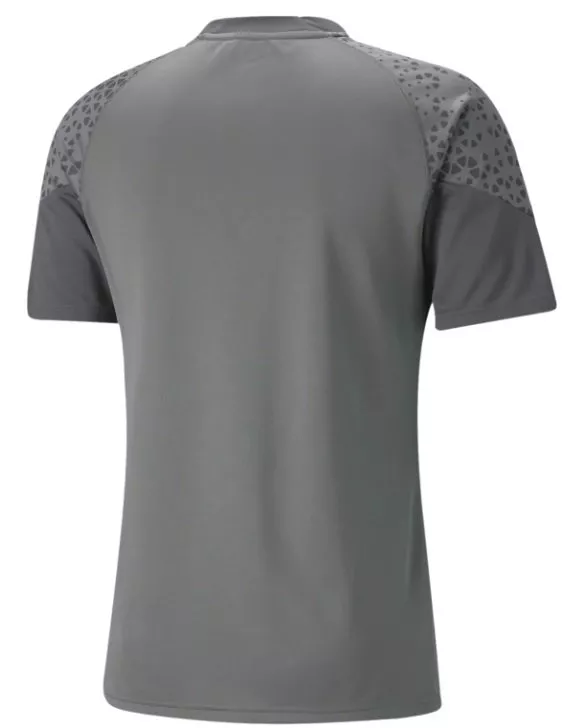 Puma teamCUP Training Jersey Póló