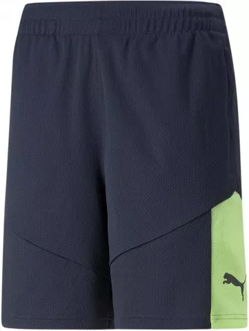 individualFINAL Training Shorts