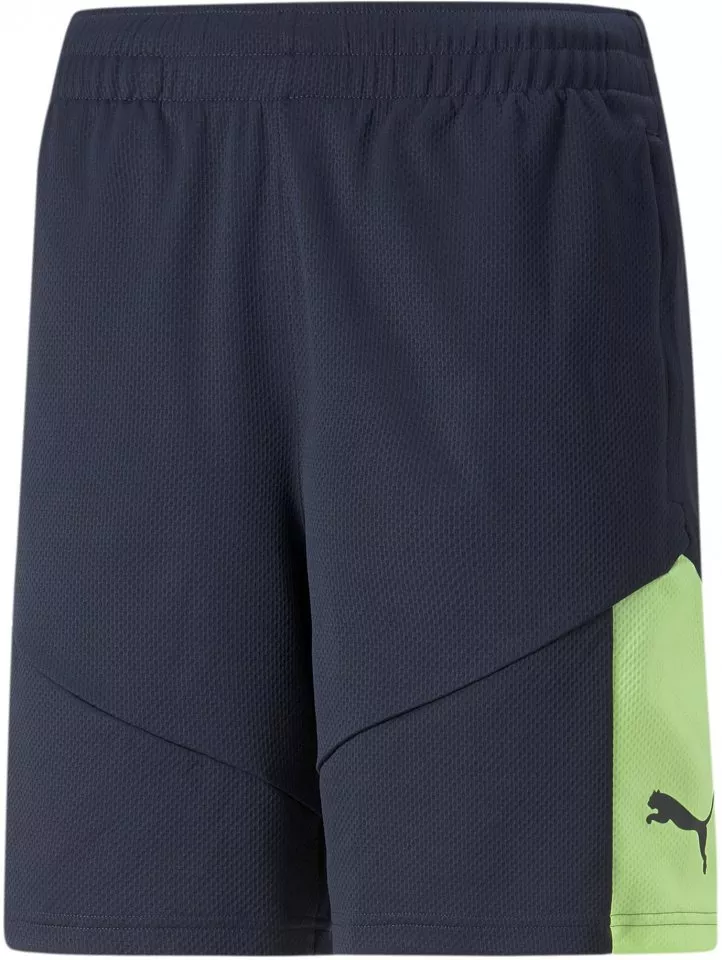 Puma individualFINAL Training Shorts Rövidnadrág