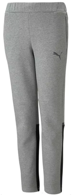 Pantaloni Puma teamCUP Casuals Pants Junior