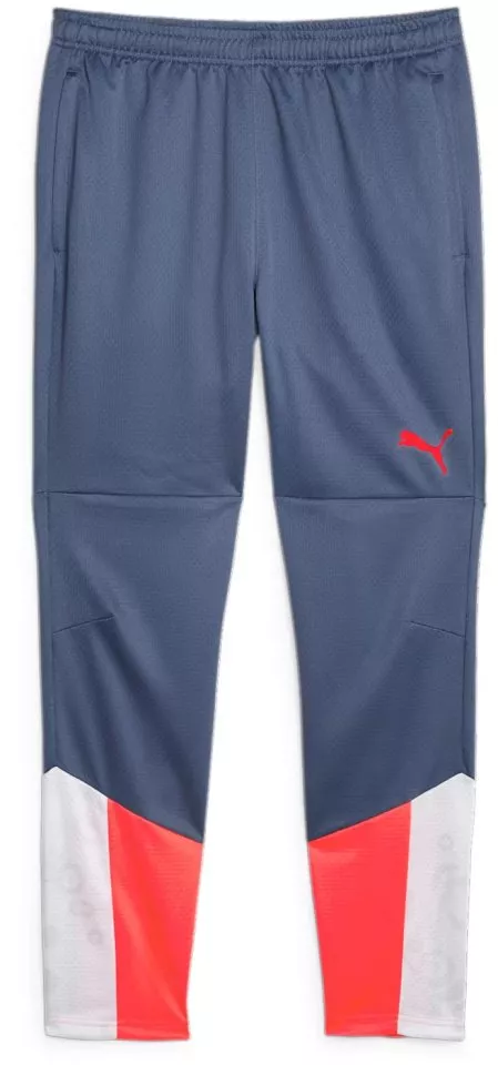 Spodnie Puma individualCUP Training Pants