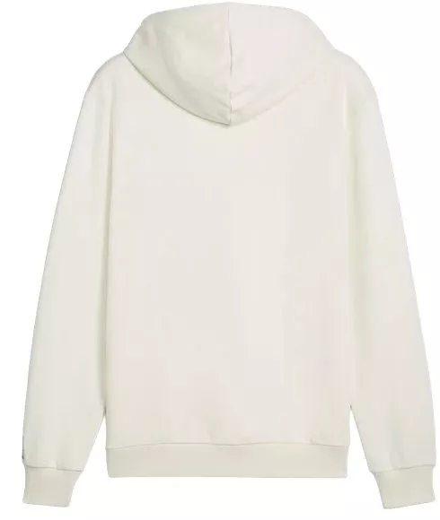 Sudadera con capucha Puma Handball Hoodie