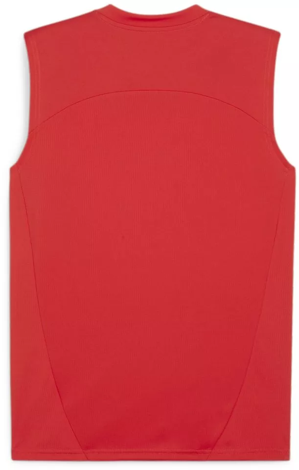 Camisa Puma teamFINAL Training Jersey SL
