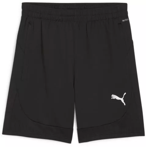 teamFINAL Training Shorts