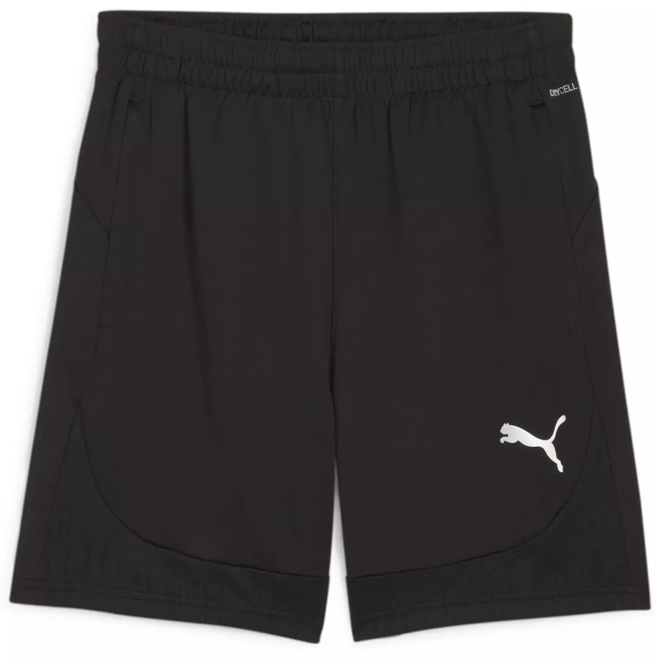 Puma teamFINAL Training Shorts