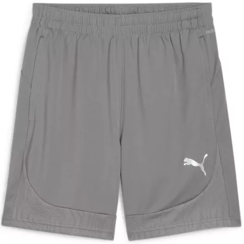 teamFINAL Training Shorts