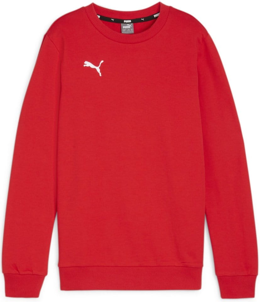 Hanorac Puma teamGOAL Casuals Crew Neck Sweat Jr