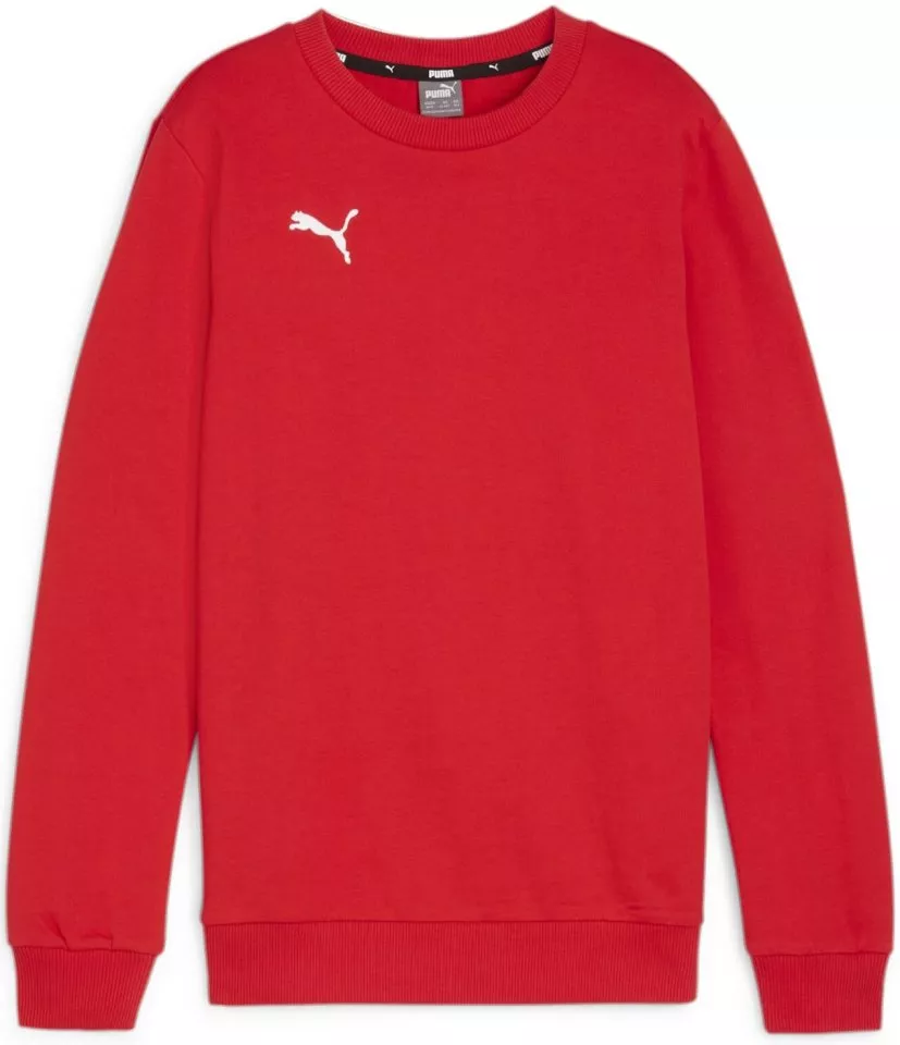 Hanorac Puma teamGOAL Casuals Crew Neck Sweat Jr