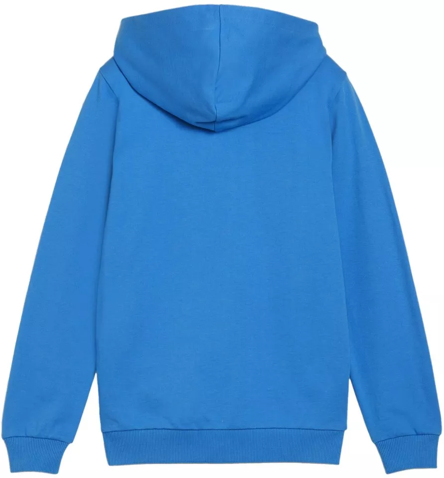Bluza z kapturem Puma teamGOAL Casuals Hoodie Kids