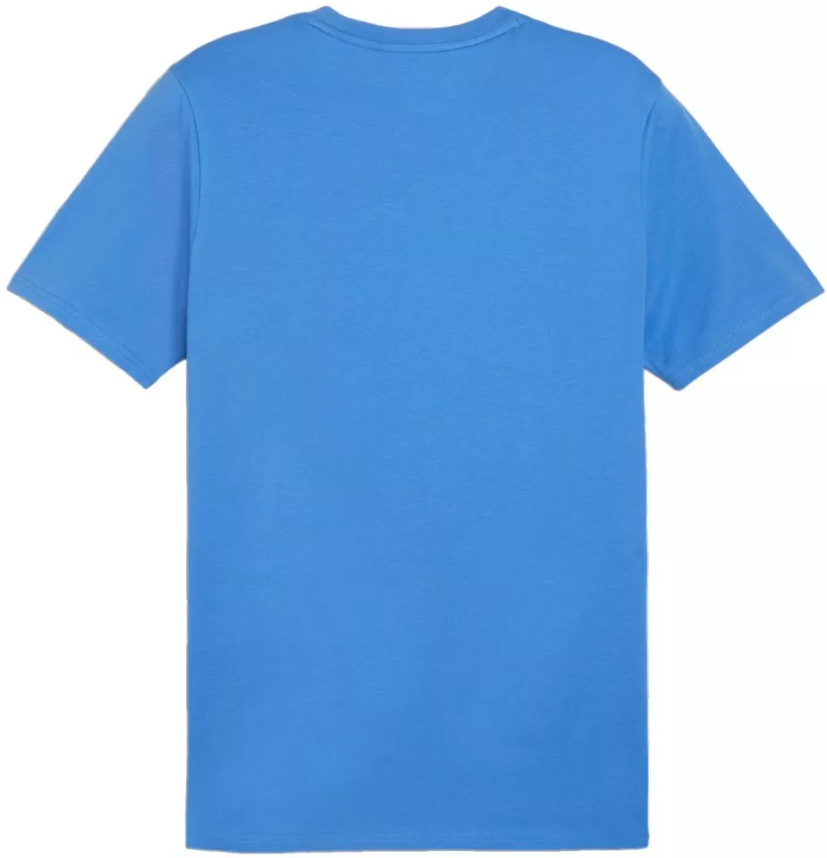 Puma teamGOAL Casuals T-Shirt Rövid ujjú póló