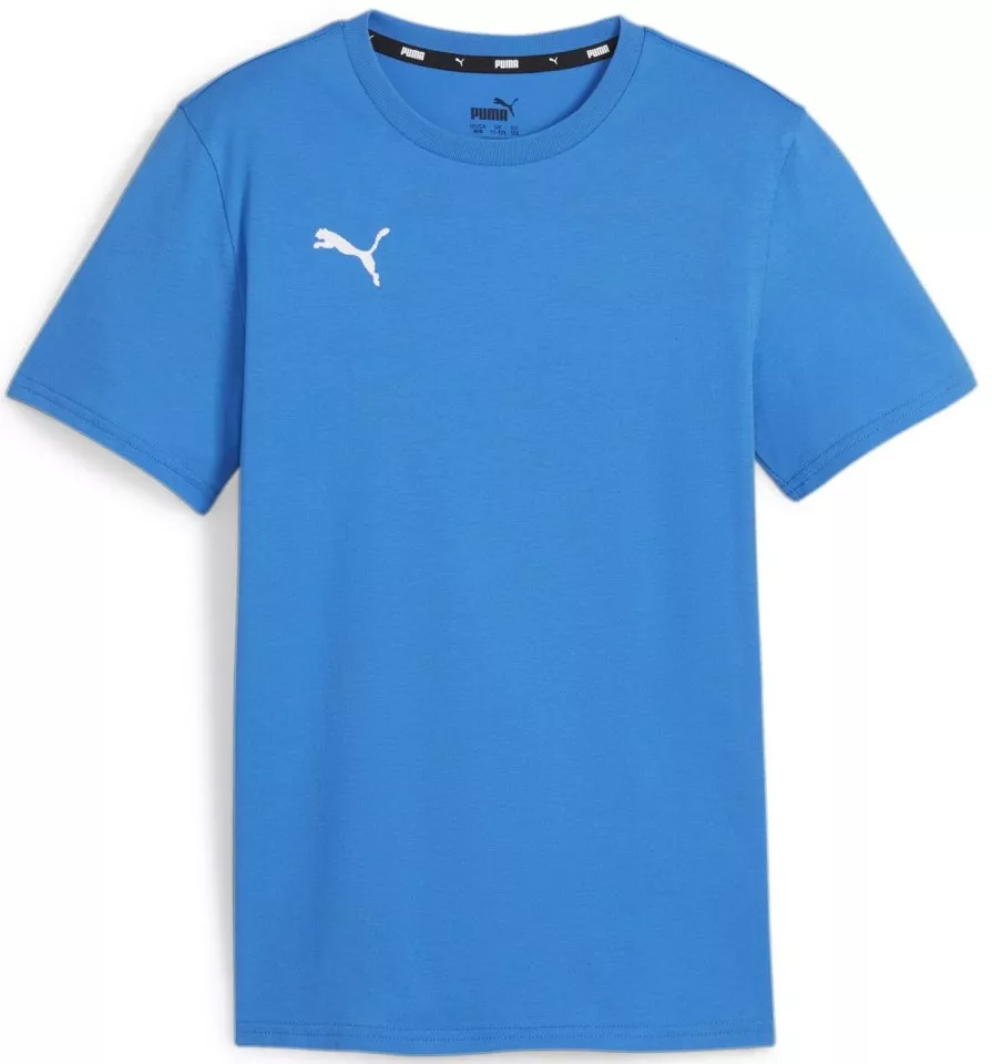 podkoszulek Puma teamGOAL Casuals Tee Jr