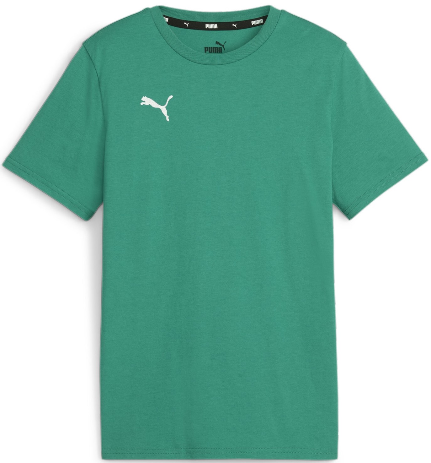 Triko Puma teamGOAL Casuals Tee Jr