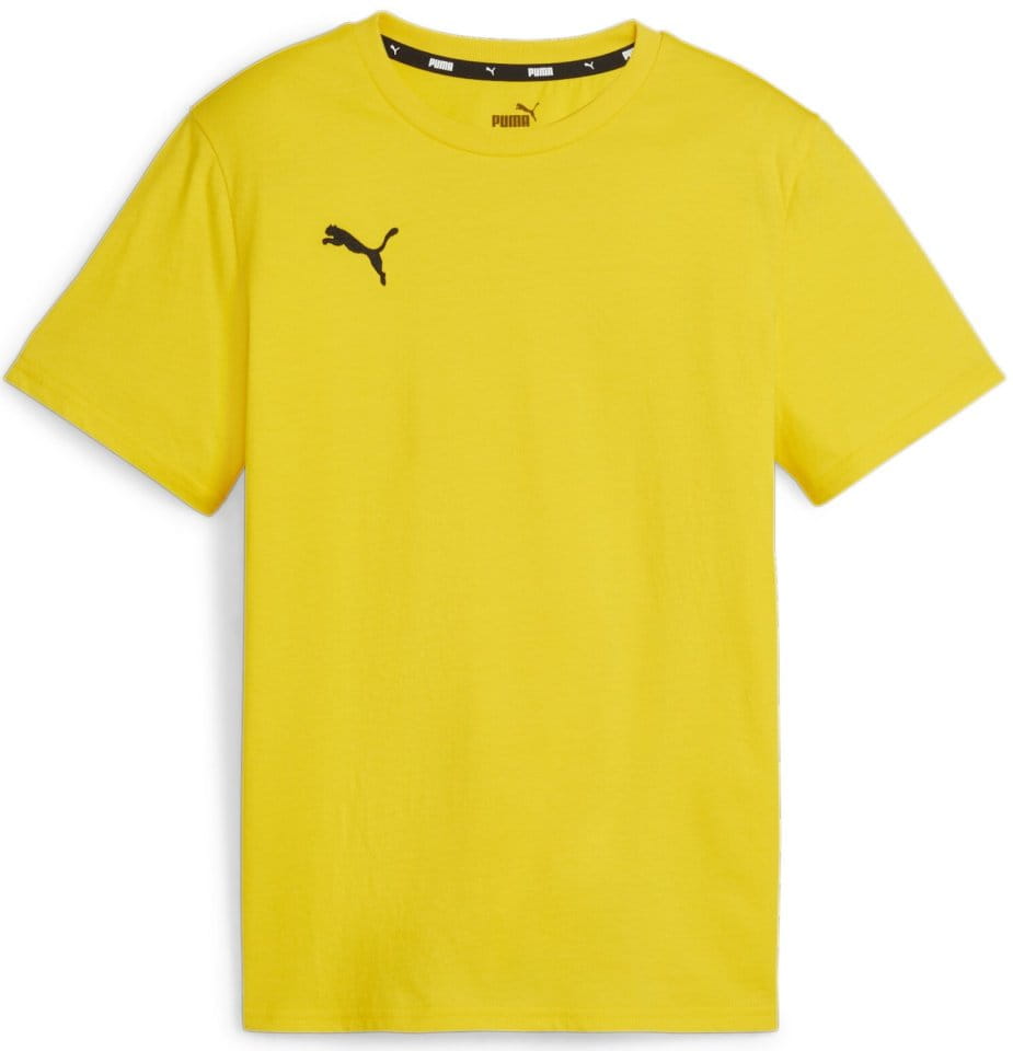 Camiseta Puma teamGOAL Casuals Tee Jr