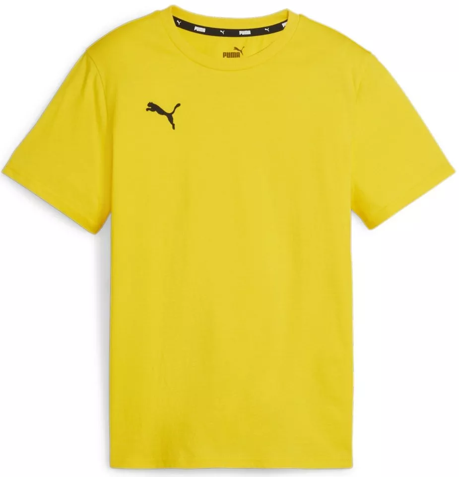 Camiseta Puma teamGOAL Casuals Tee Jr
