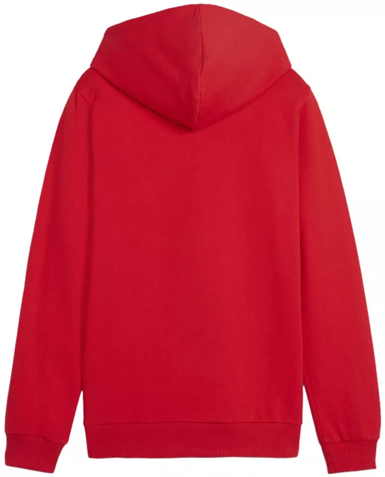 Φούτερ-Jacket με κουκούλα Puma teamGOAL Casuals Hoody Kids