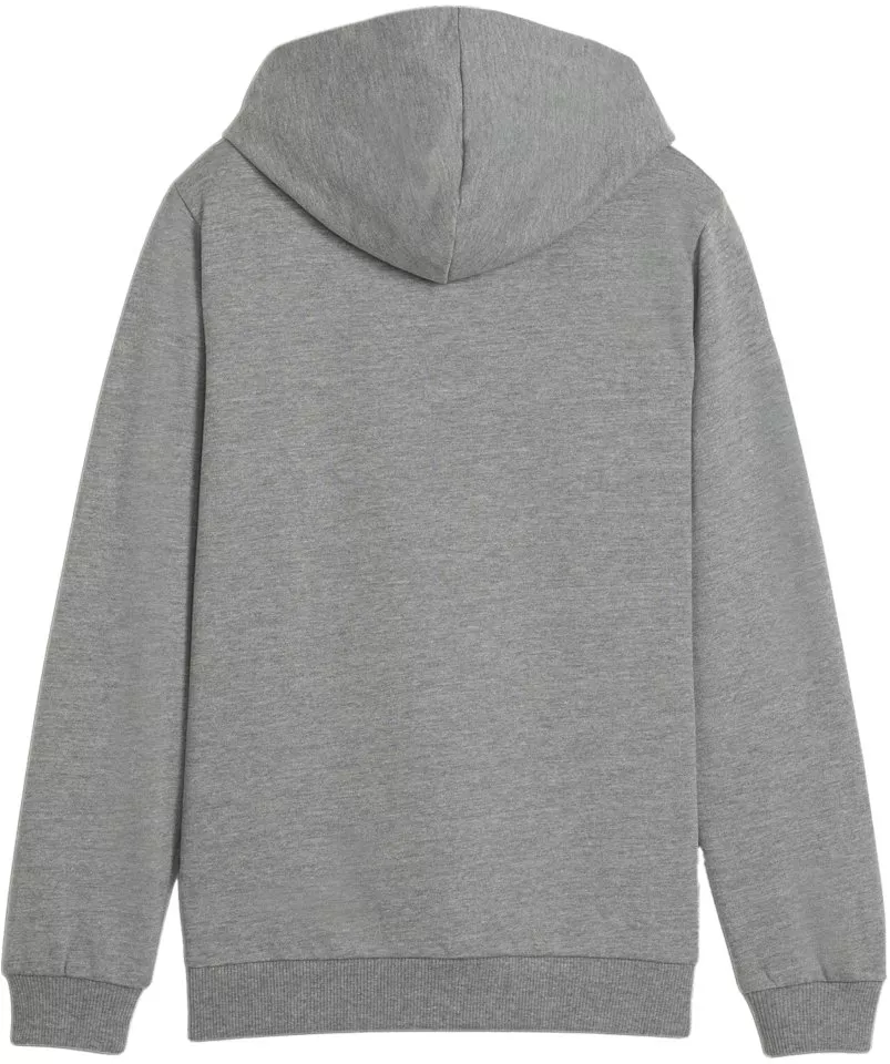 Sudadera con capucha Puma teamGOAL Casuals Hoody Kids