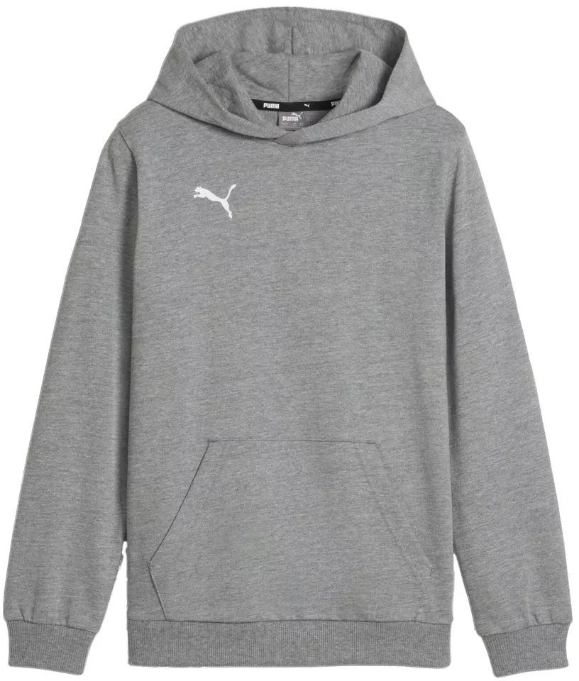 Sudadera con capucha Puma teamGOAL Casuals Hoody Kids