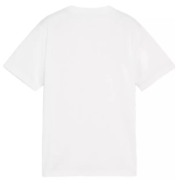 podkoszulek Puma teamGOAL T-Shirt