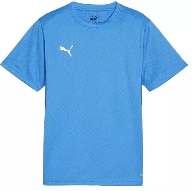 Puma teamGOAL T-Shirt