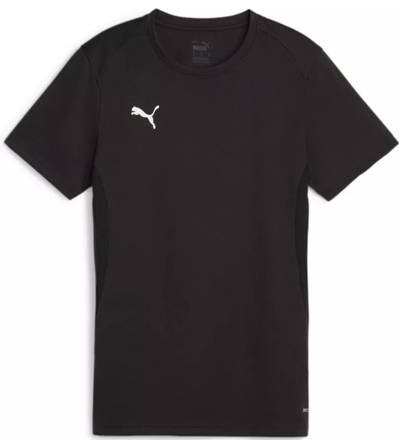 Bluza Puma teamGOAL Jersey W