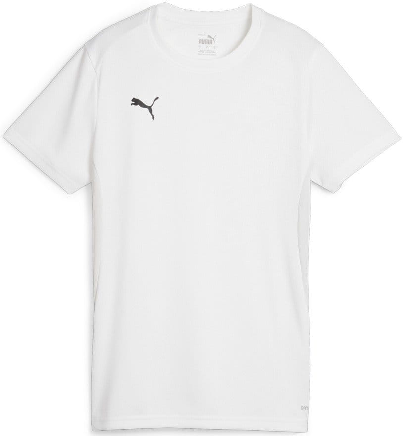 Camisa Puma teamGOAL Jersey W